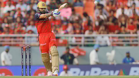 Kohli, Padikkal fifties, RCB win 5th away match