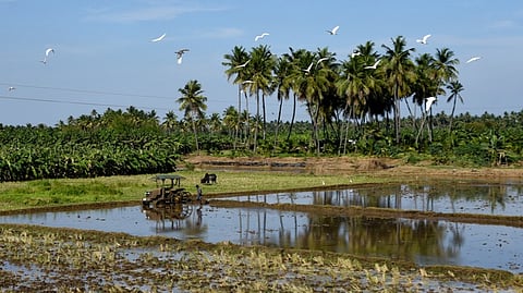 What is Mutation of Property and Why is it Important?