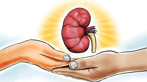kidney health problems