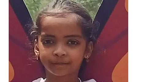 eight year old girl died after tree fell on her