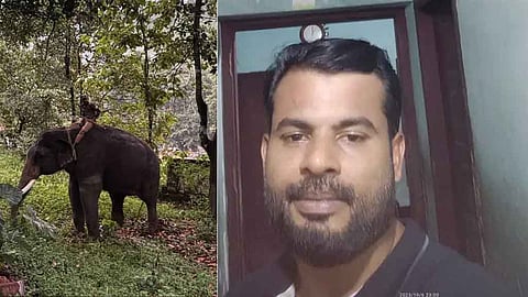 Tiger attack malappuram