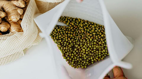 Mung bean