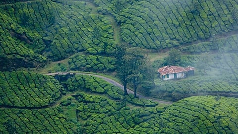 Kerala Tourism,