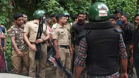 tiger terrorizes kalikavu forest department launches search