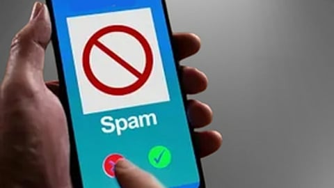 financial fraud risk