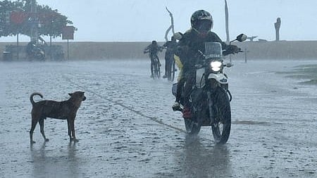 Rain, Monsson, Monsoon official announcement,