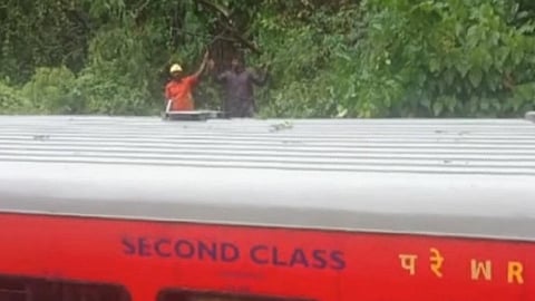 Tree branch breaks off and falls on train