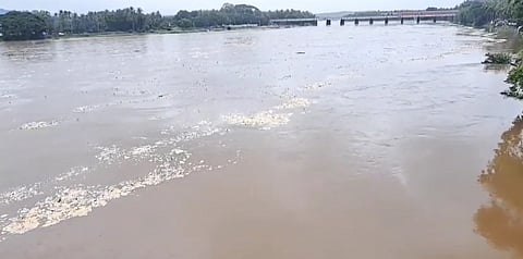 Bharathapuzha River