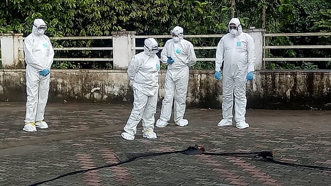 critically ill patient infected with Nipah has recovered says the minister