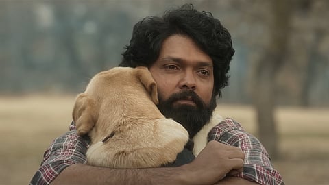 screenshot from the movie 777 Charlie