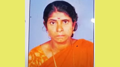 wild elephant attack