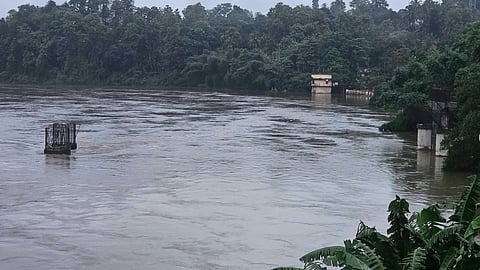 Pamba River