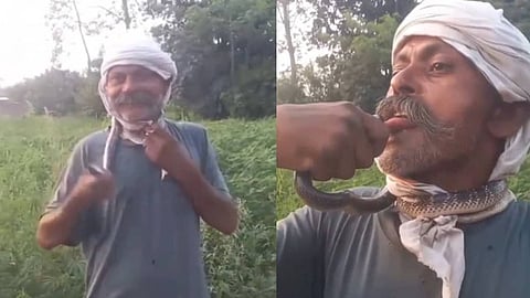 UP man bitten on tongue while trying to kiss snake for reel; critical
