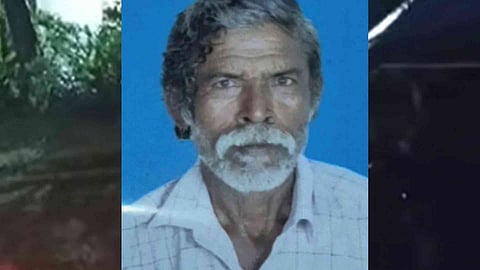 Wild elephant attack