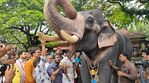 Minister K Rajan inaugurated the event