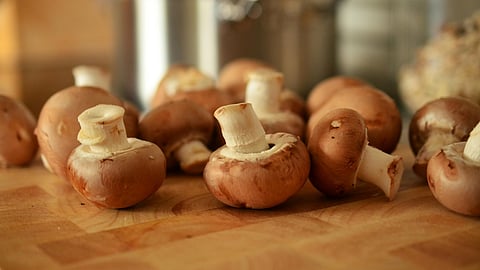 Image of Mushrooms