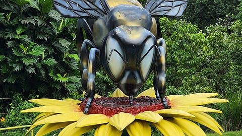 Nation's first honey museum to come up at Thazhakkara soon