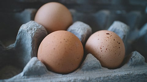 Selective Focus Photo of Three Eggs on Tray