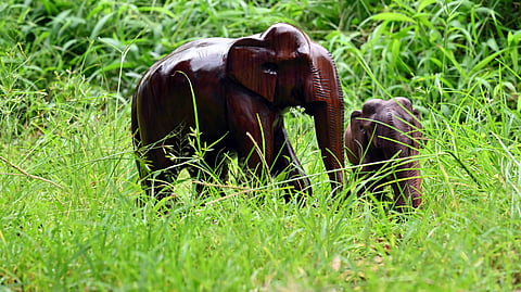 The elephant village, Thiruvananthapuram,Cherapally village,elephant sculptures