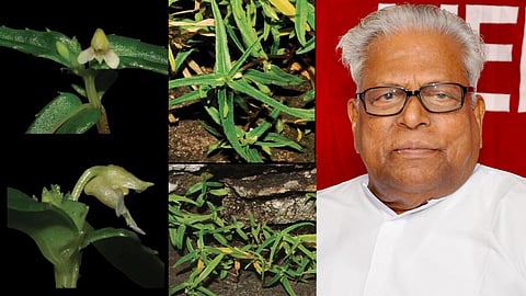 Kasithumba, V S Achuthanandan
