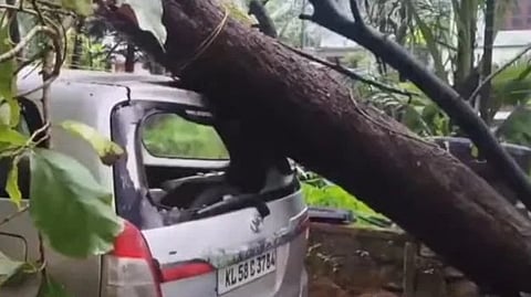 tree fell and damaged the car