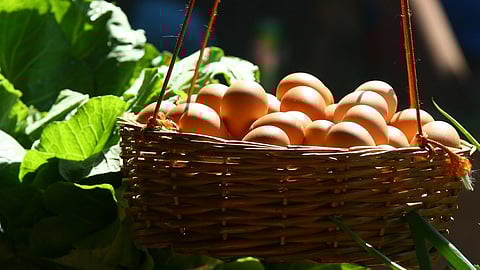 Eggs in a basket