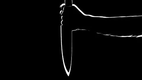 UP Woman chops off husband's genitals