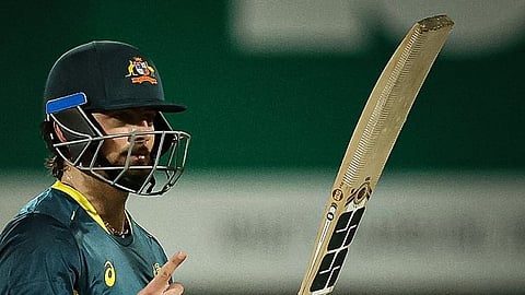 Tim David celebrates after scoring a half-century