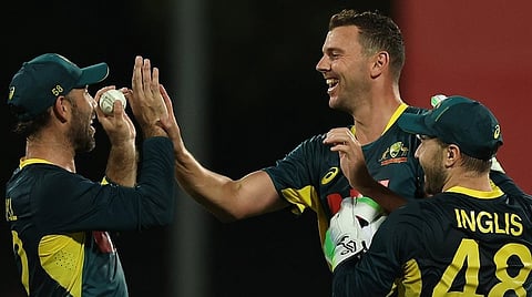 Josh Hazlewood celebrates wicket