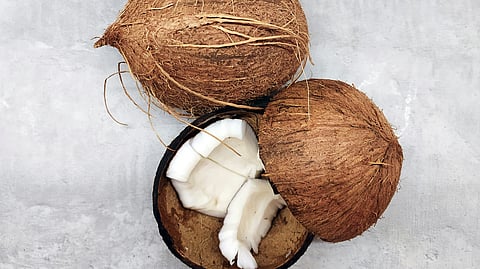 coconut