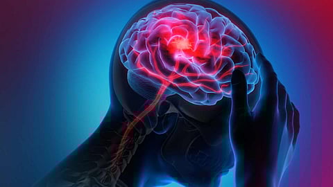 representational image for Amoebic Encephalitis