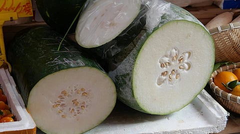 Wax gourd