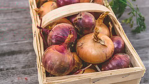 Onions in basket