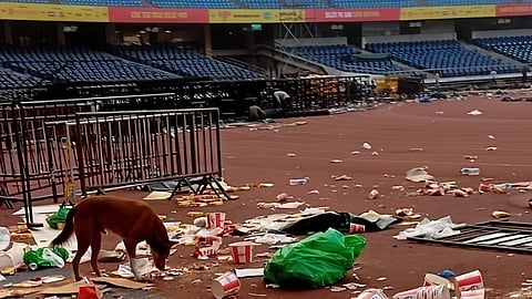 Foreign Coaches Bitten By Stray Dogs