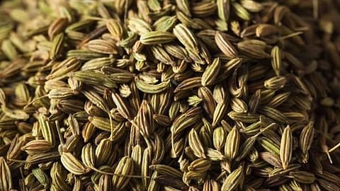 Fennel Seeds
