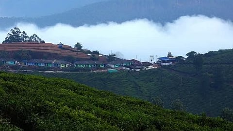 munnar