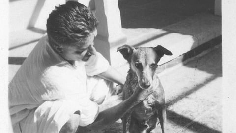 Image of DD.D. Kosambi