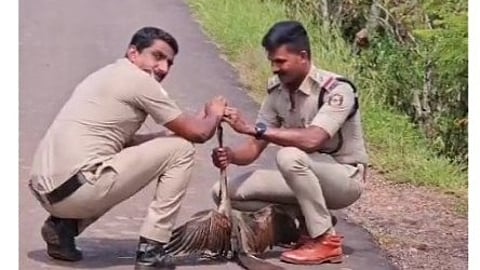Policemen rescued Cormorant from net trap