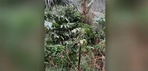 Eight-year-old girl died after the auto carrying students overturned into a canal