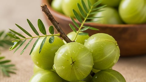 Amla Health benefits