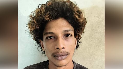 young man arrested for cannabis cultivation