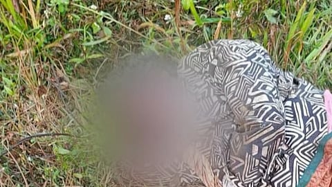 Elderly woman found dead in Wayanad's Panavalli forest