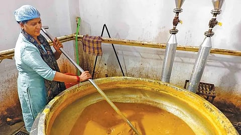 determined woman entrepreneur secures the prestigious contract to manage the Sabarimala temple mess