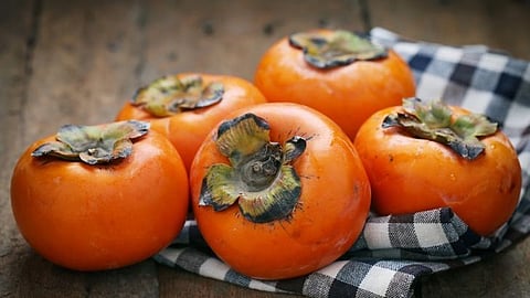 Persimmon Fruit