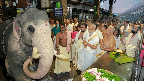 Elephant offering in Guruvayur