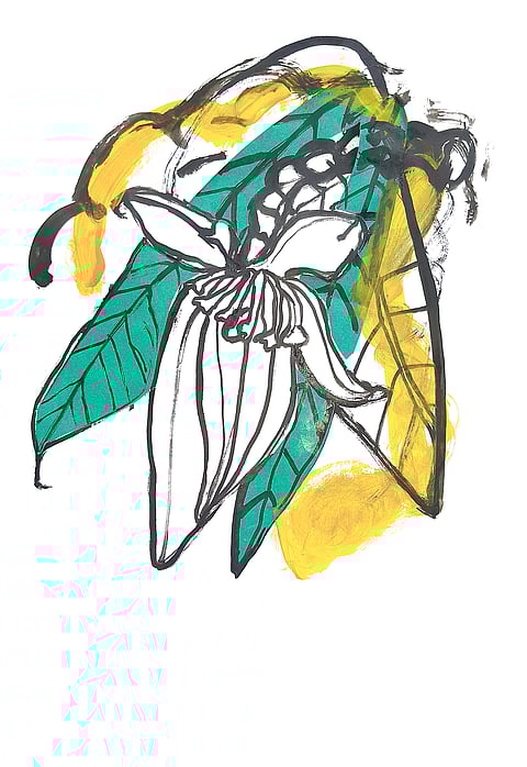 malayalam poem, stella Mathew