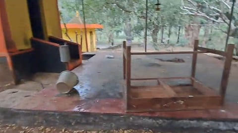 herd of wild elephants destroyed a temple in Athirappilly