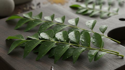 Curry Leaves
