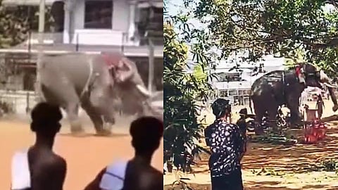 An elephant attack in Irinjalakuda
