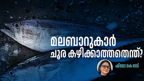 Choora fish,Shilo k Dev,tuna